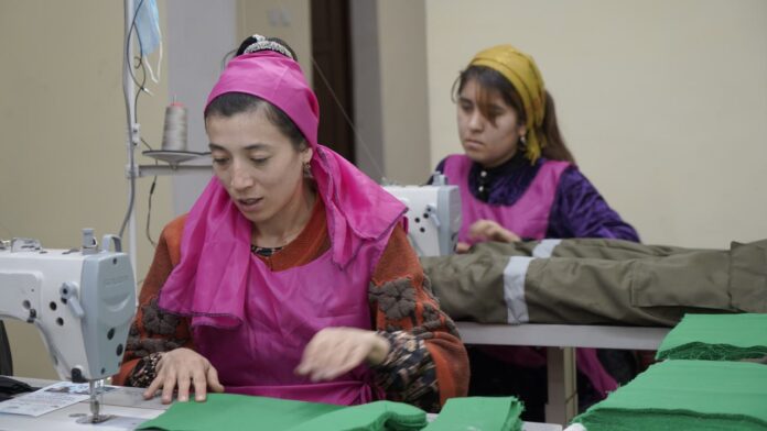 photo_2023-10-24_12-02-20