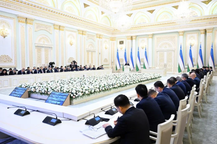 iokk7suft5ob3Z114dz17684868976330_l