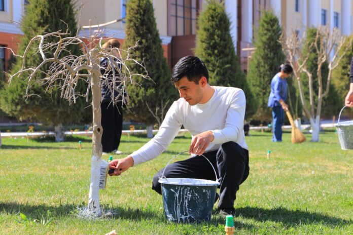 26d2cc897b6fea1b9baa1c8e17f5d69c